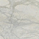 Мрамор Calacatta Cremo (Калакатта Кремо)